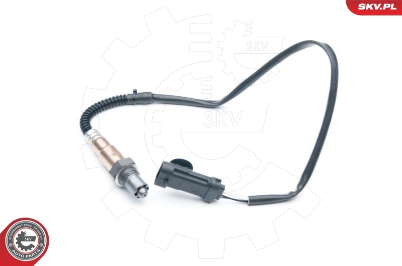 Oxygen Sensor